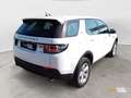 Land Rover Discovery Sport Discovery Sport 2.0 TD4 150 CV Auto Business Edit White - thumbnail 2