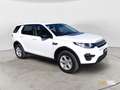 Land Rover Discovery Sport Discovery Sport 2.0 TD4 150 CV Auto Business Edit White - thumbnail 13