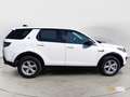 Land Rover Discovery Sport Discovery Sport 2.0 TD4 150 CV Auto Business Edit White - thumbnail 6