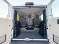 Fiat Ducato 2.2 M-Jet 140CV 6M PANORAMA 9P."SOLO KM 52.000!" Bianco - thumbnail 11