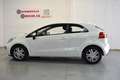Kia Rio 1.2 Concept Weiß - thumbnail 5