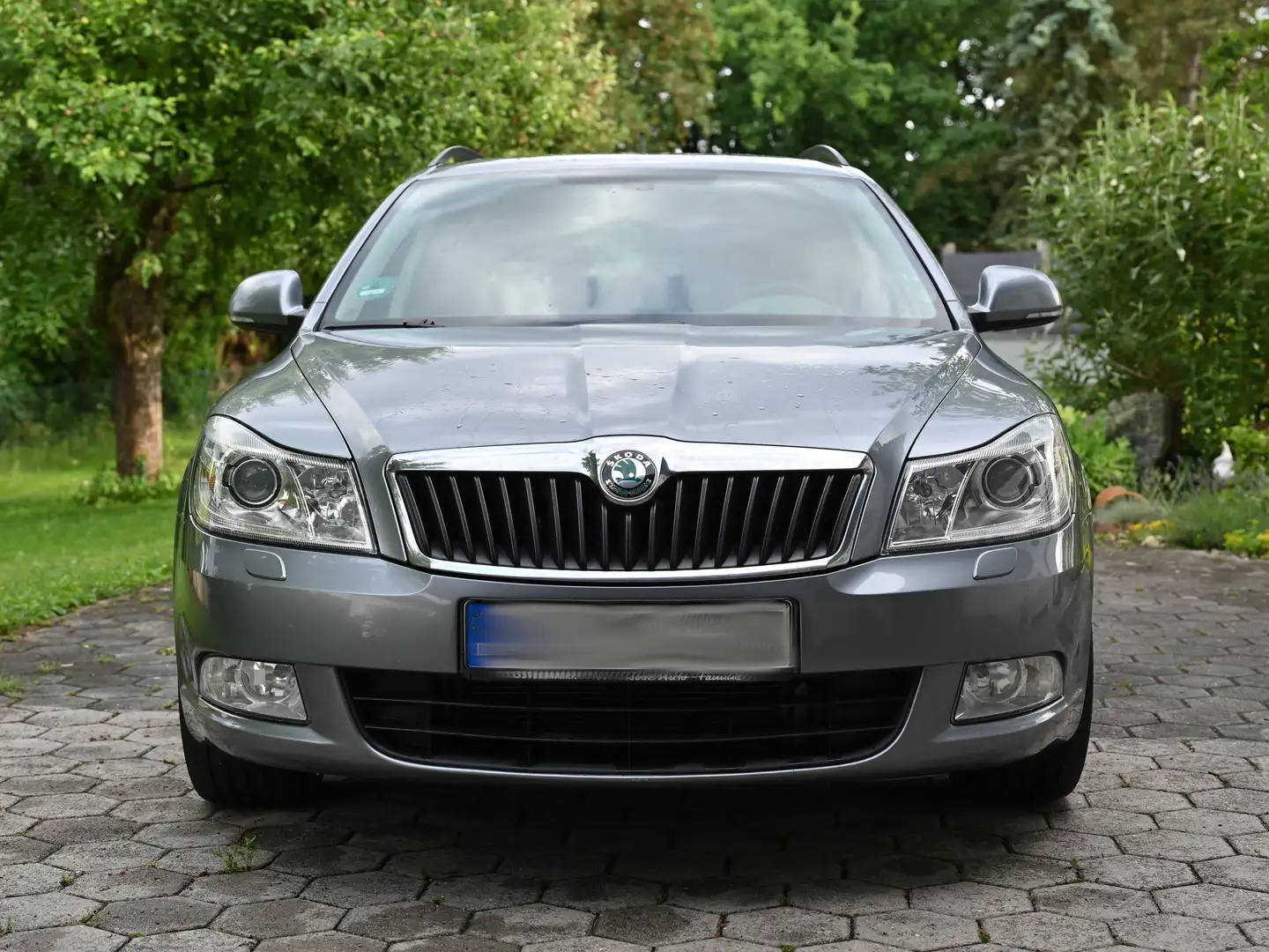 Skoda Octavia Octavia Combi 1.6 TDI DPF FAMILY - 2