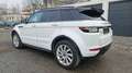 Land Rover Range Rover Evoque Dynamic 2,2 D 4x4 Aut., Pano+Memory... Weiß - thumbnail 4
