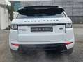 Land Rover Range Rover Evoque Dynamic 2,2 D 4x4 Aut., Pano+Memory... Weiß - thumbnail 8