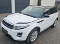 Land Rover Range Rover Evoque Dynamic 2,2 D 4x4 Aut., Pano+Memory... Weiß - thumbnail 1
