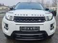 Land Rover Range Rover Evoque Dynamic 2,2 D 4x4 Aut., Pano+Memory... Weiß - thumbnail 9