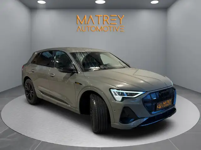 Audi Q8 e-tron Q8 e-tron 50 quattro 2 x S line