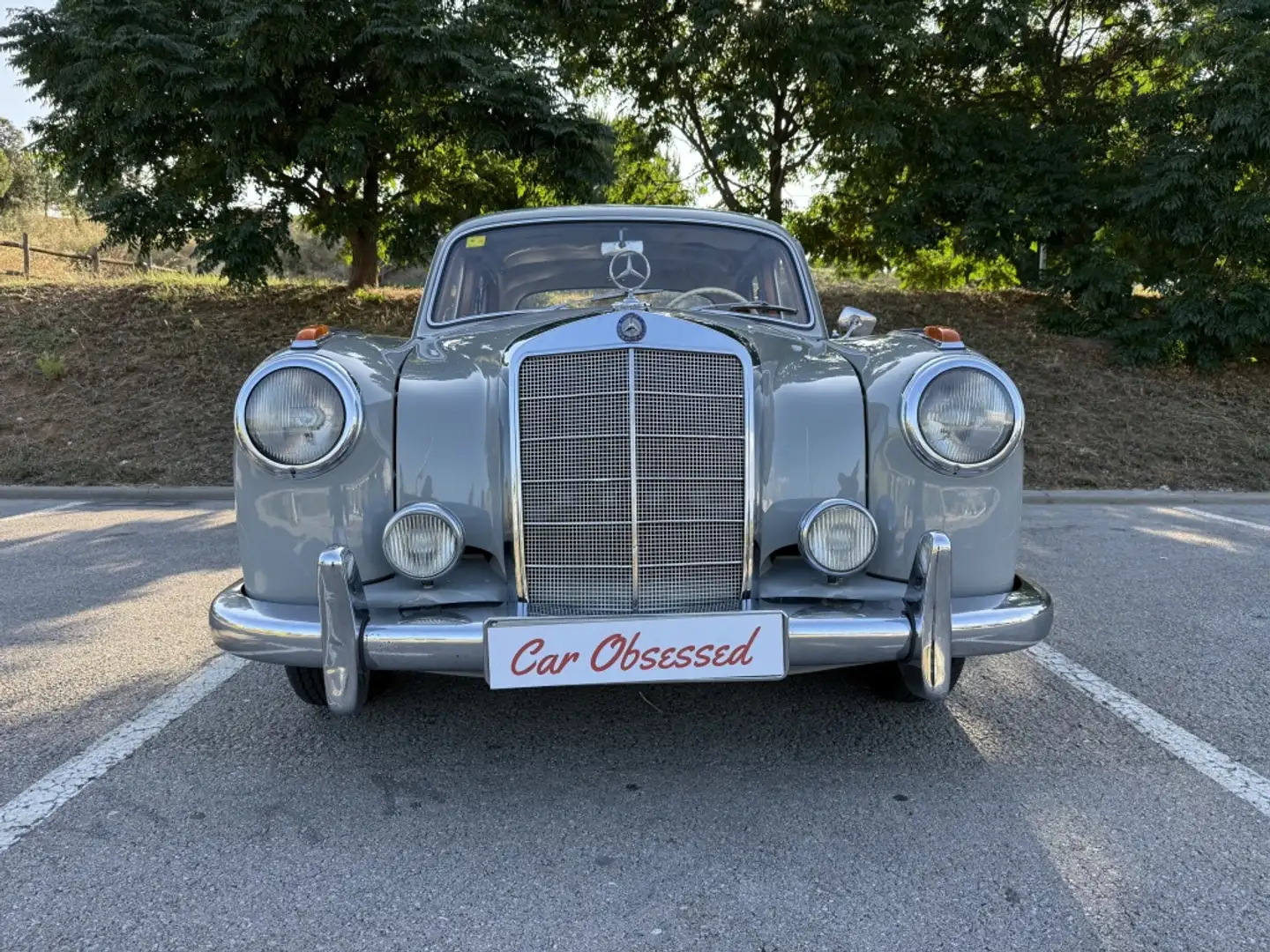 Mercedes-Benz 220 220SB Gris - 2
