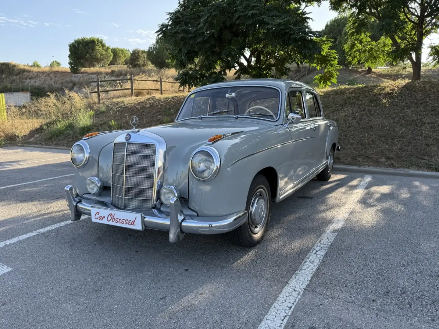 Mercedes-Benz 220 220SB Gris - 1