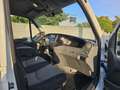 Iveco Daily 35C13 D 410,Kipper,Dubbelcabine,Airco,Trekhaak, Wit - thumbnail 14