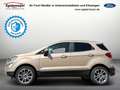 Ford EcoSport Titanium NAVI PDC SITZHEIZUNG KLIMAAUTO Braun - thumbnail 2