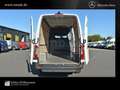 Mercedes-Benz Sprinter 317 Kasten L3H2 MBUX*Klima*Autom.*Mopf Weiß - thumbnail 23