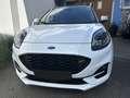 Ford Puma Puma 1,0 EcoBoost Hybrid ST-Line X ST-Line X Weiß - thumbnail 4