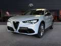 Alfa Romeo Stelvio 2.2 TD 210 CV Super AT8 Q4 Grigio - thumbnail 1