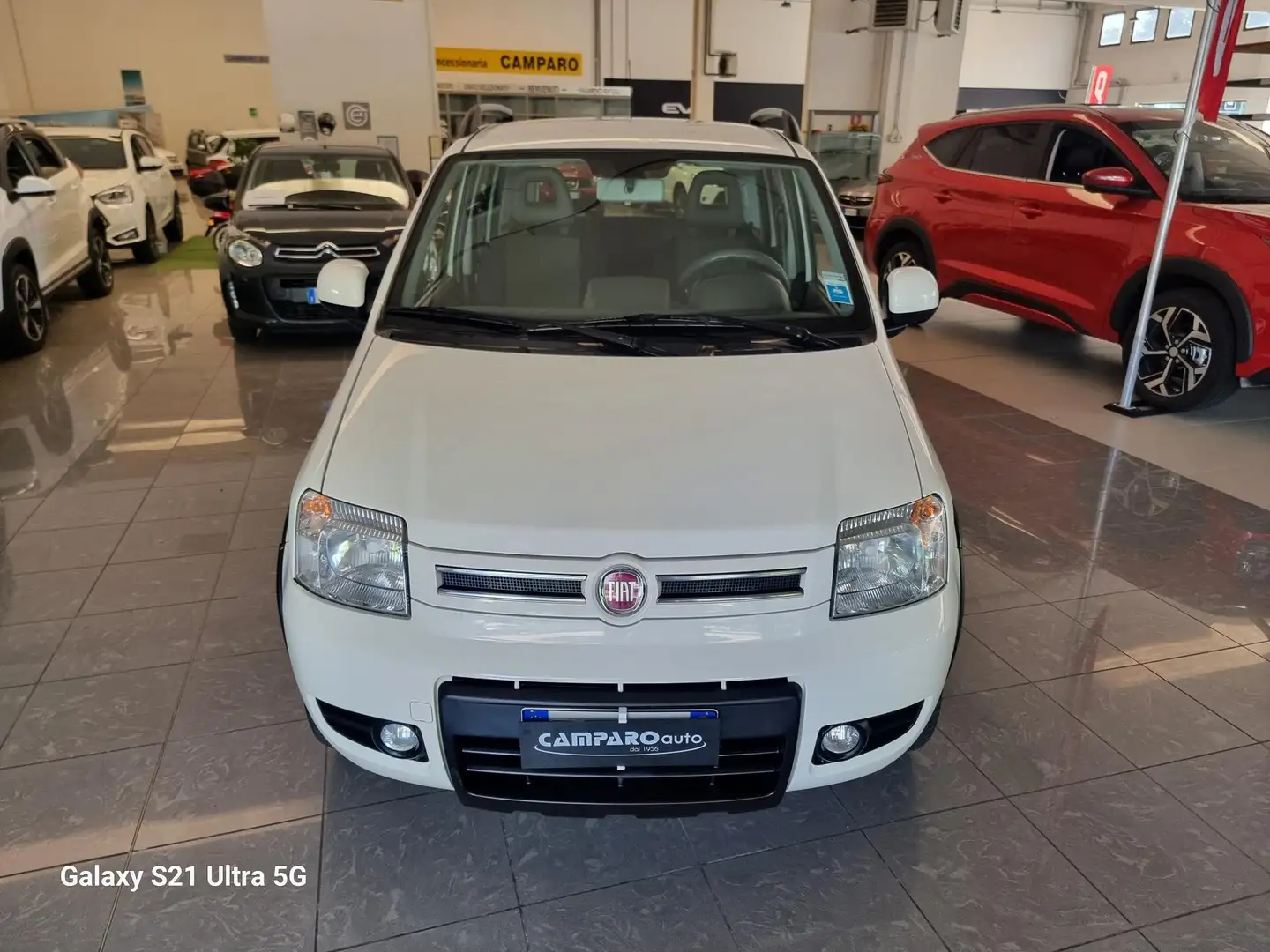 Fiat Panda 1.3 mjt 16v Climbing 4x4 CATENA NUOVA Wit - 2