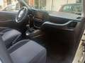 Fiat Doblo maxi 1.6 diesel  cv 105 Biały - thumbnail 13