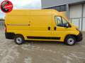 Fiat Ducato 30 2.2 Mjt 120CV PM-TM Furgone ( + IVA) Gelb - thumbnail 3