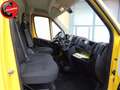 Fiat Ducato 30 2.2 Mjt 120CV PM-TM Furgone ( + IVA) Gelb - thumbnail 10