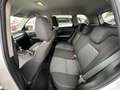 Suzuki Vitara 1,4 Hybrid ALLGRIP shine MY25 110 PS Weiß - thumbnail 12