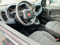 Fiat Panda 4x2 FireFly Hybrid 70 Cross Grün - thumbnail 6