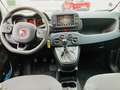 Fiat Panda 4x2 FireFly Hybrid 70 Cross Grün - thumbnail 8