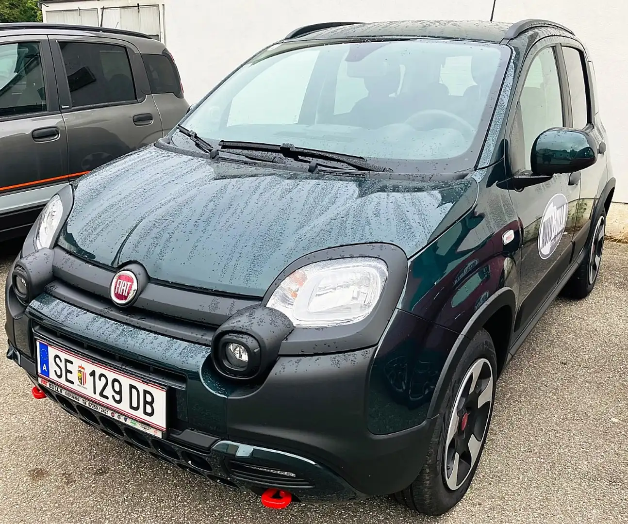 Fiat Panda 4x2 FireFly Hybrid 70 Cross Grün - 2