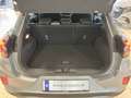 Ford Puma TITANIUM *1,0 EcoBoost Hybrid Titanium Grau - thumbnail 14