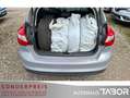 Ford Focus 1.0 EB Champions Edition Klima LM SHZ GRA - thumbnail 10