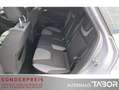 Ford Focus 1.0 EB Champions Edition Klima LM SHZ GRA - thumbnail 8