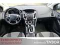 Ford Focus 1.0 EB Champions Edition Klima LM SHZ GRA - thumbnail 5