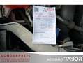 Ford Focus 1.0 EB Champions Edition Klima LM SHZ GRA - thumbnail 13