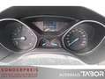 Ford Focus 1.0 EB Champions Edition Klima LM SHZ GRA - thumbnail 6