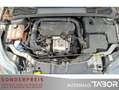 Ford Focus 1.0 EB Champions Edition Klima LM SHZ GRA - thumbnail 12
