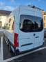 Mercedes-Benz Sprinter 314 2.1 CDI L2H2 AWD 7G-tr. Plus(EUVI-D) Blanc - thumbnail 2