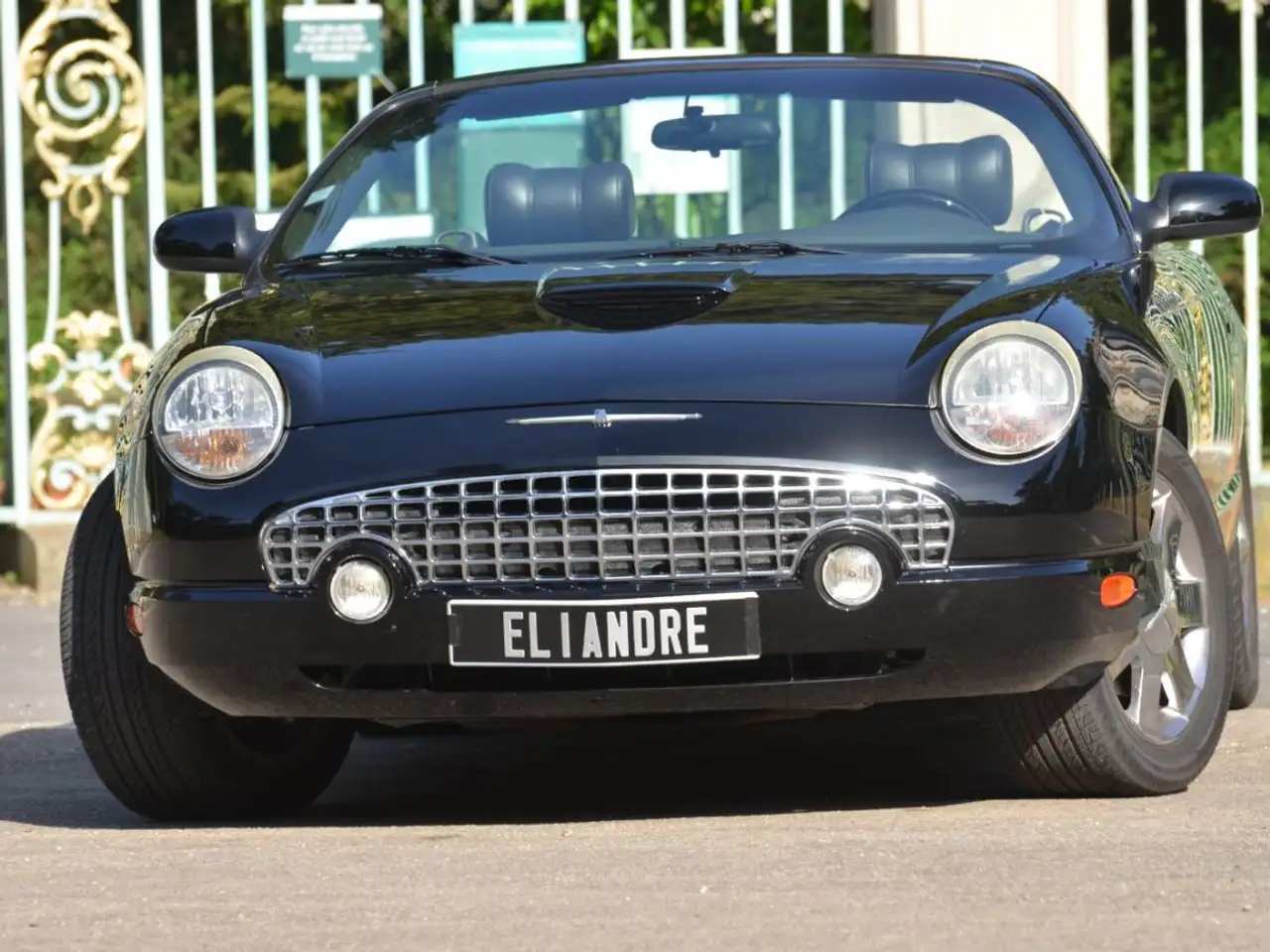Ford Thunderbird 4.0 L V8 256 ch, foto 2