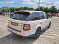 Land Rover Range Rover Sport 3.0 SDV6 HSE MOTORE FUSO Bianco - thumbnail 8