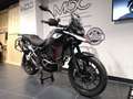 Triumph Tiger 900 Grau - thumbnail 2