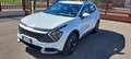 Kia Sportage Sportage 1.6 CRDi MHEV DCT Business Bianco - thumbnail 1