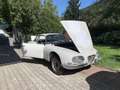 Alfa Romeo SZ 2600 Sprint Zagato Weiß - thumbnail 4