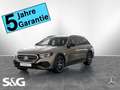 Mercedes-Benz E 220 d 4M T All Terrain MBUX+360°+DIG-LED+AHK Braun - thumbnail 1