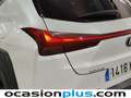 Lexus UX 250h Premium 2WD Blanco - thumbnail 14
