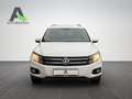 Volkswagen Tiguan 2.0 TDI Track&Style 4Motion *NAVI*AHK* Blanc - thumbnail 7