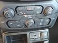 Jeep Renegade 1.6 Mjt 120 CV Business Grau - thumbnail 12