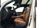 BMW X5 xDrive45e/HEAD-UP/Panorama/Sitzklima/Memory Weiß - thumbnail 8