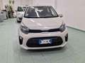 Kia Picanto 1.0 12V 5 porte Urban Beige - thumbnail 2