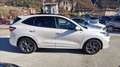 Ford Kuga 2.5 full hybrid ST-Line 2wd 190cv cvt Blanco - thumbnail 4
