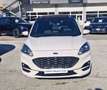 Ford Kuga 2.5 full hybrid ST-Line 2wd 190cv cvt Blanco - thumbnail 2