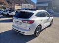 Ford Kuga 2.5 full hybrid ST-Line 2wd 190cv cvt Blanco - thumbnail 5