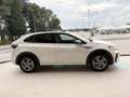 Volkswagen Taigo 1.0 TSI 110 CV DSG R-Line TETTO APR/PAN Bianco - thumbnail 4