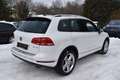 Volkswagen Touareg V6 TDIExclusive Terrain "STANDHZG/PANO" - thumbnail 8